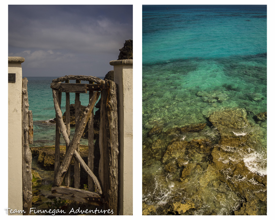 3/20/2013 – Bermuda Photo Safari, cont.