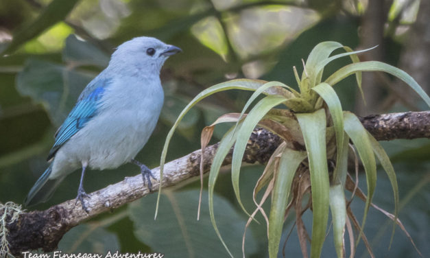 Paraiso Quetzal Lodge – 03/12/2018